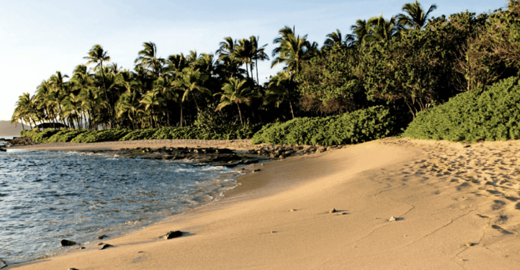A Beautiful Hawaiian Wedding in Hawaii. Photo by S. Young of Dream Weddings Hawaii. www.hawaiiloaweddings.com. Wedding ceremony, Vow renewal ceremony, elopement ceremony, beach ceremony on Oahu, Hawaii